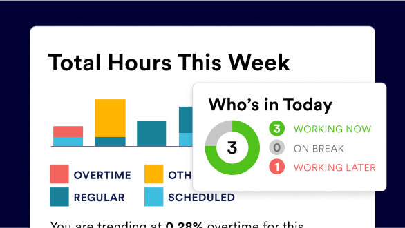 ADP Workforce Now Time & Attendance dashboard sample