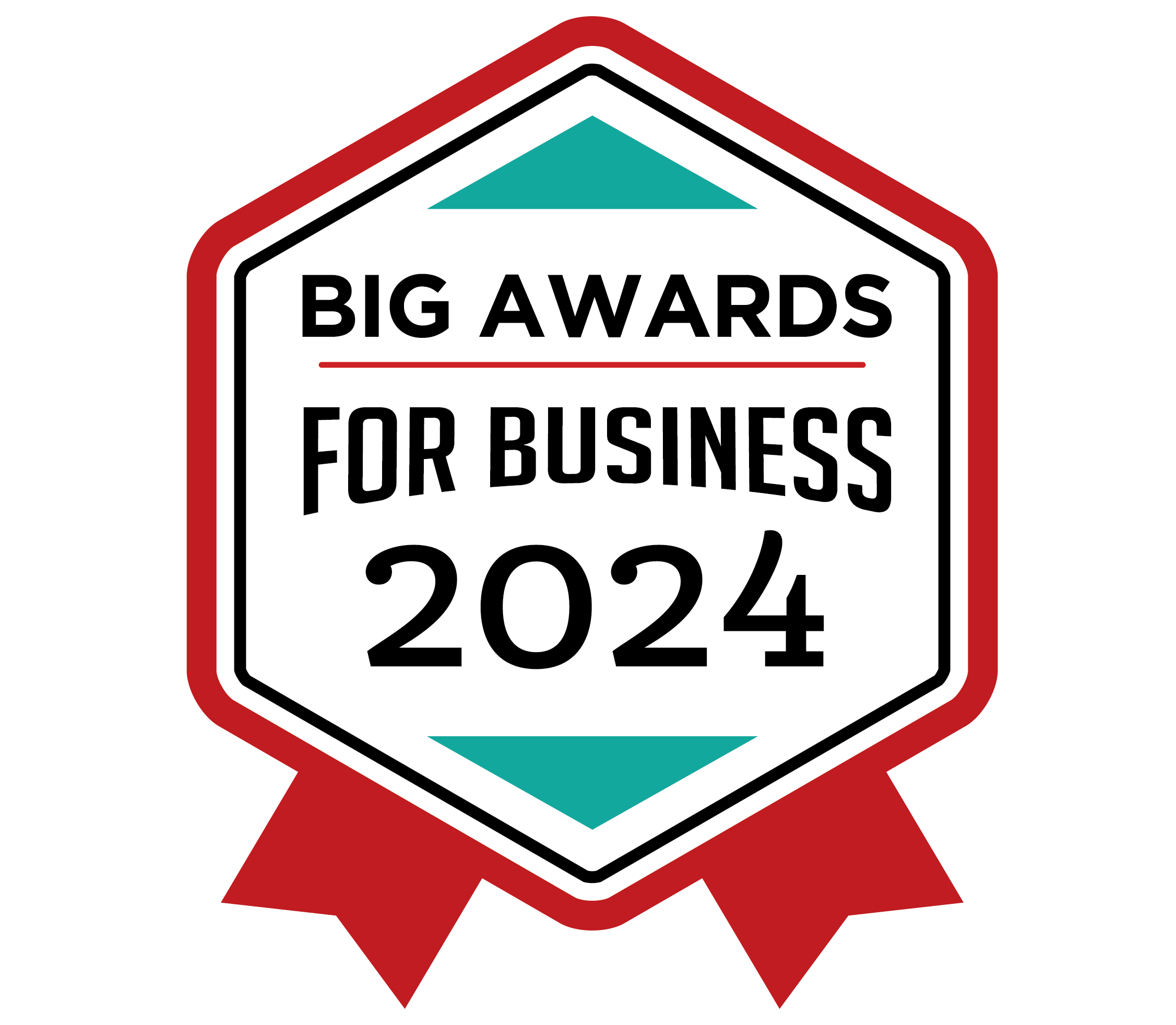 BIG Awards for Business 2024